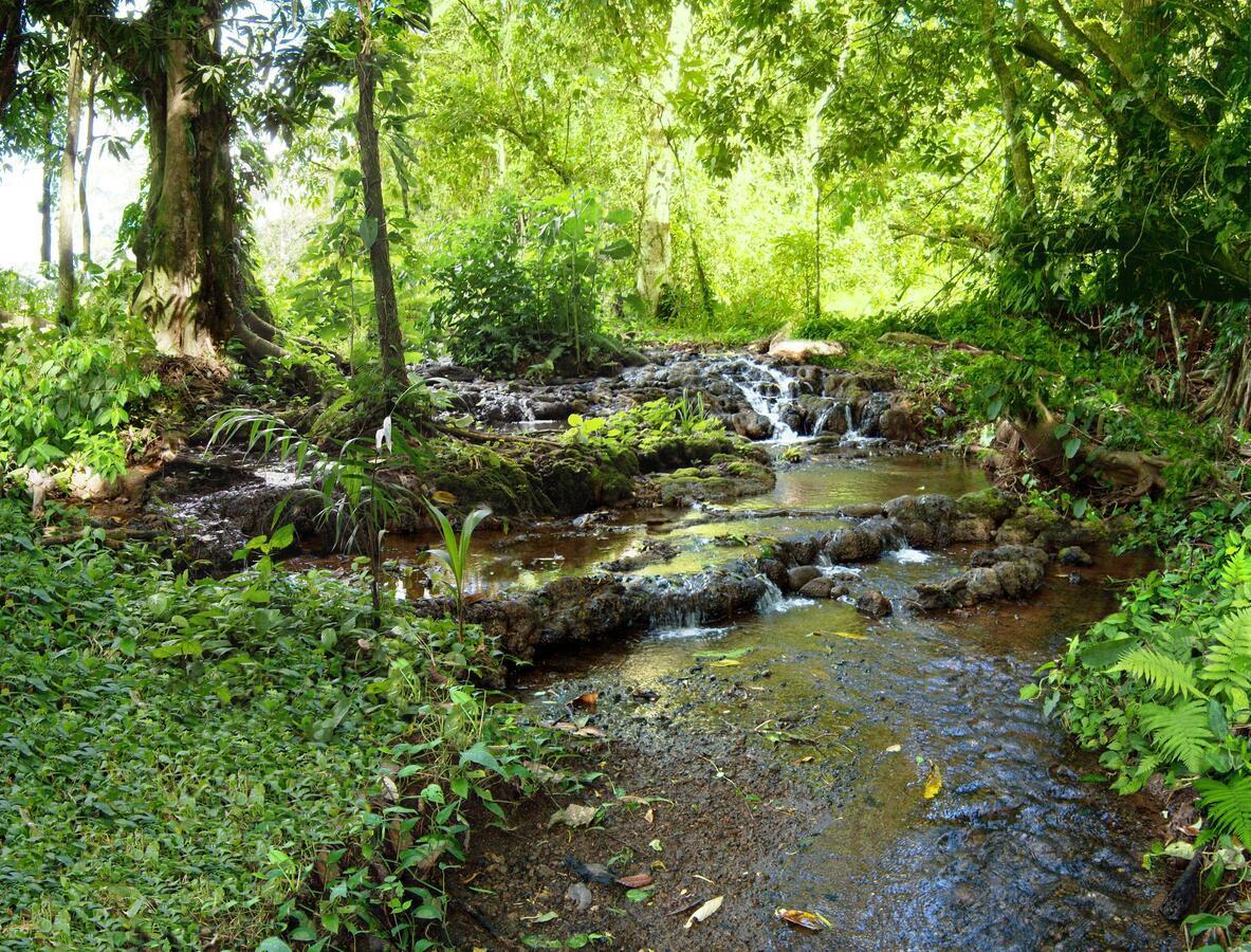 Bio Thermales Hot Springs Villa Palmera Dış mekan fotoğraf