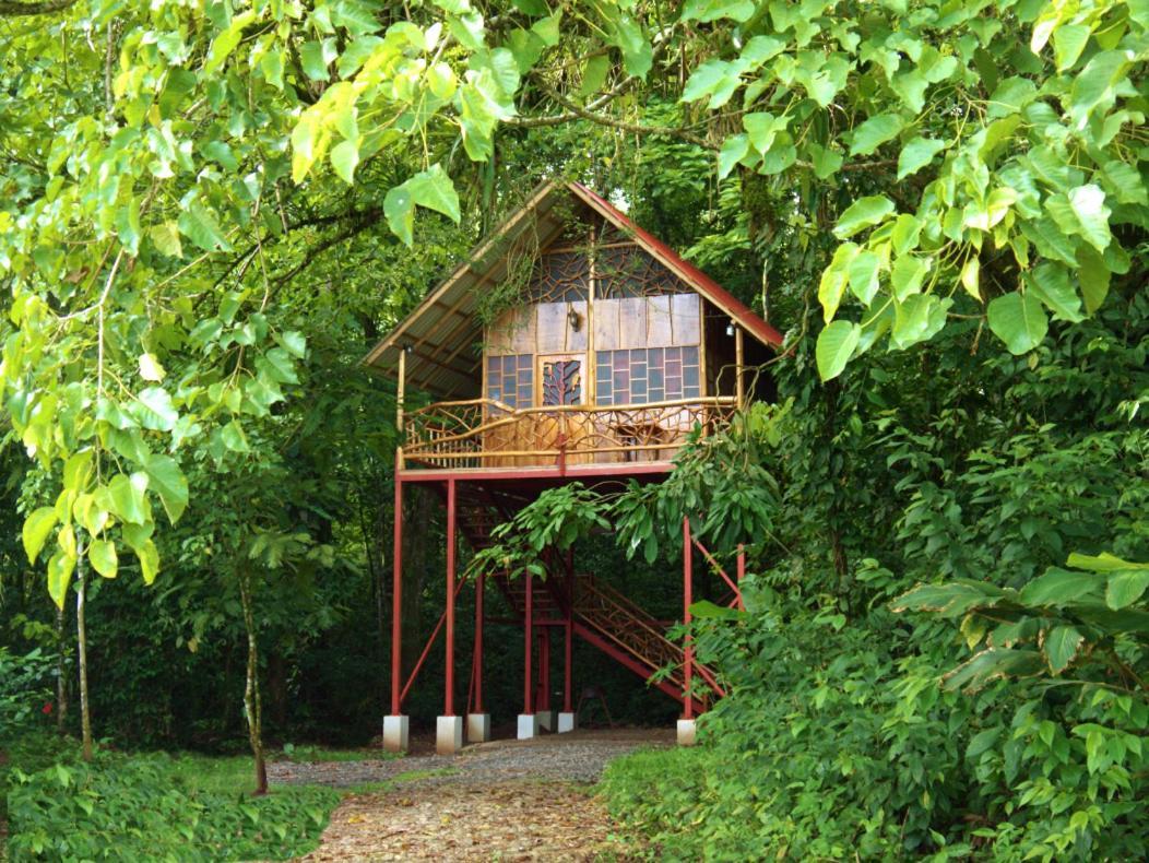Bio Thermales Hot Springs Villa Palmera Dış mekan fotoğraf