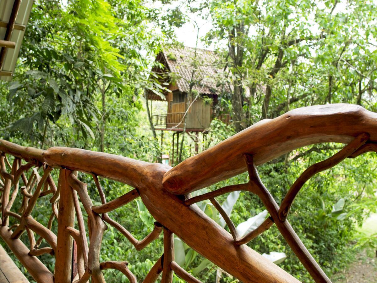 Bio Thermales Hot Springs Villa Palmera Dış mekan fotoğraf