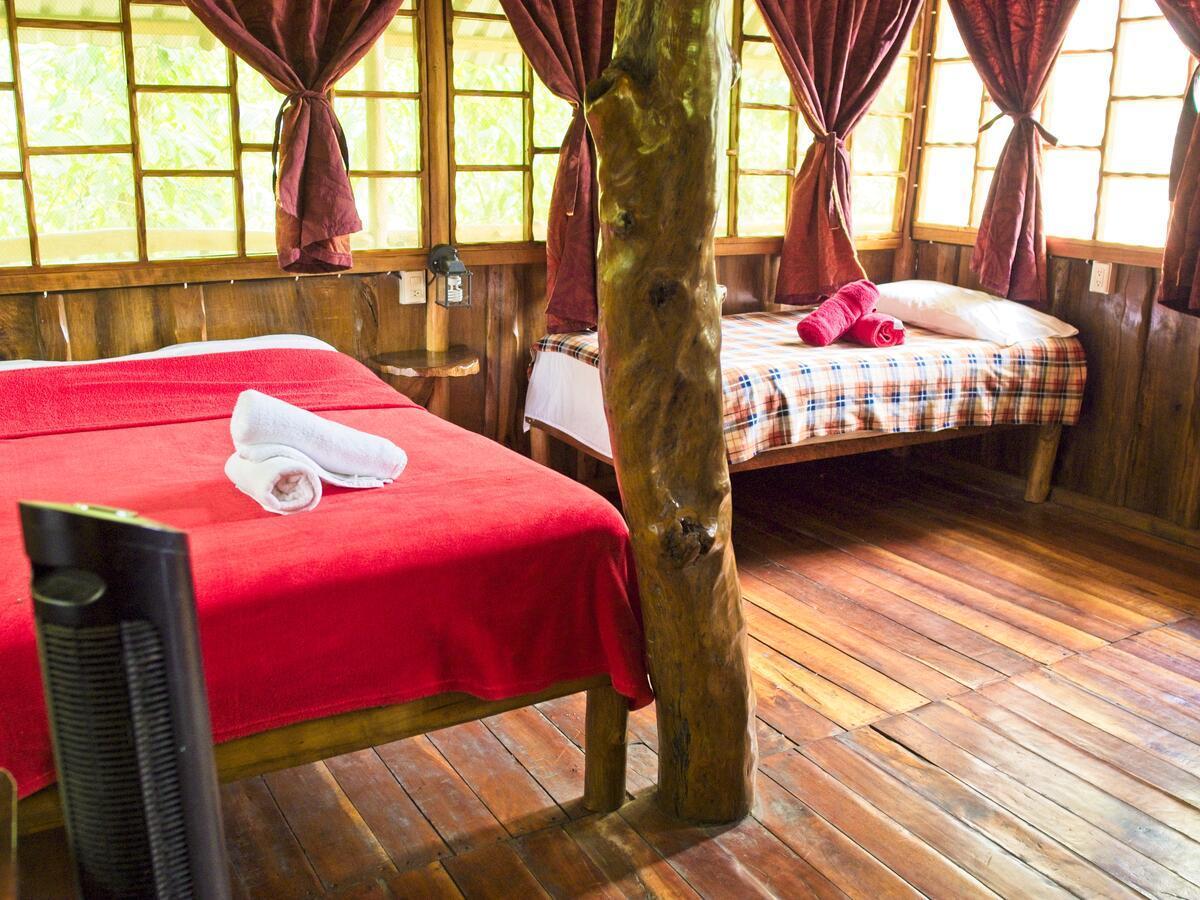 Bio Thermales Hot Springs Villa Palmera Dış mekan fotoğraf
