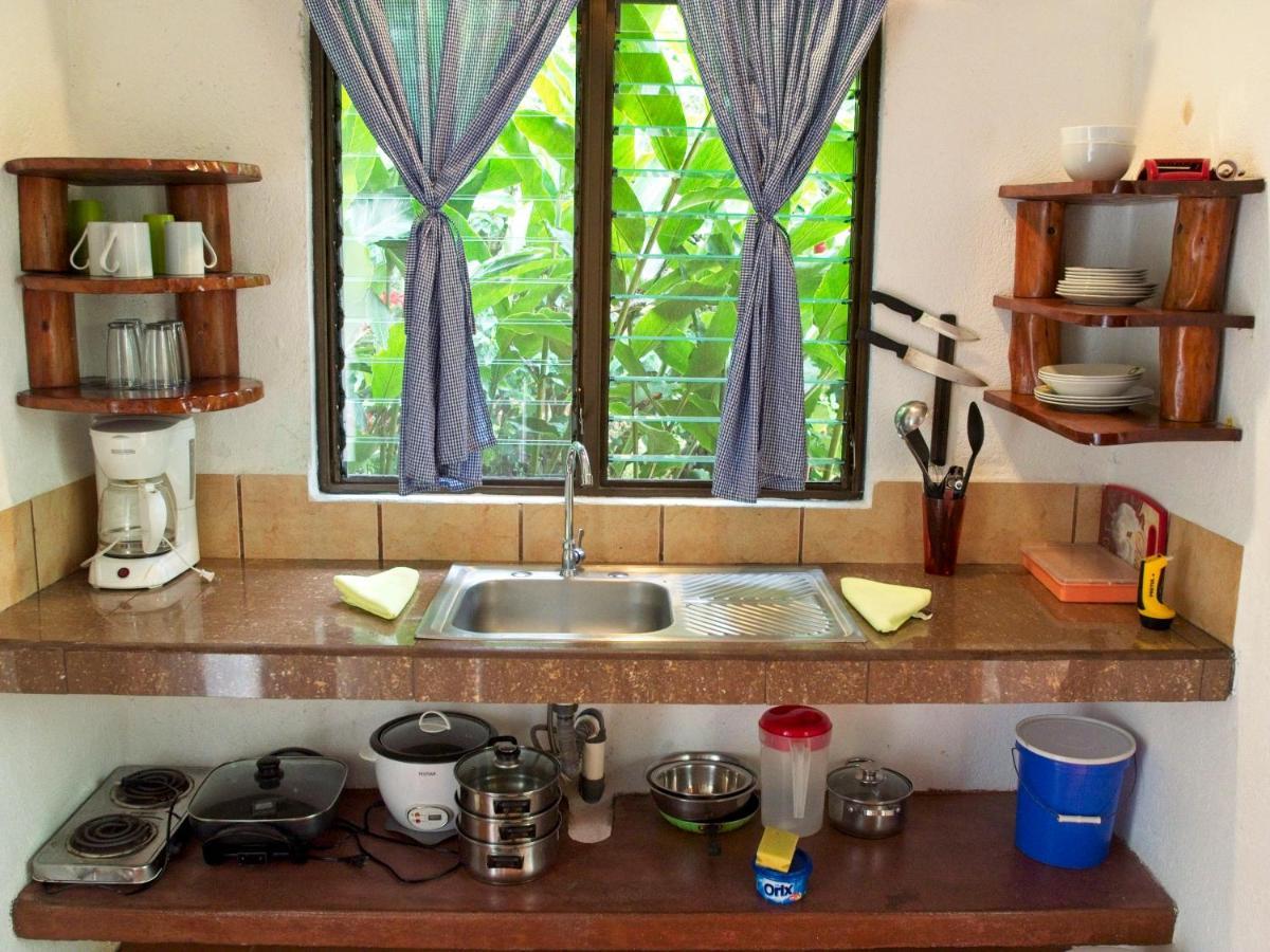 Bio Thermales Hot Springs Villa Palmera Dış mekan fotoğraf