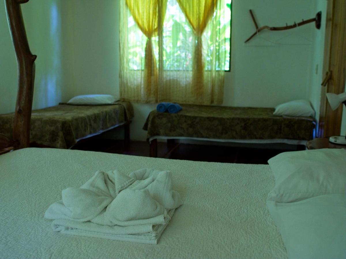 Bio Thermales Hot Springs Villa Palmera Dış mekan fotoğraf